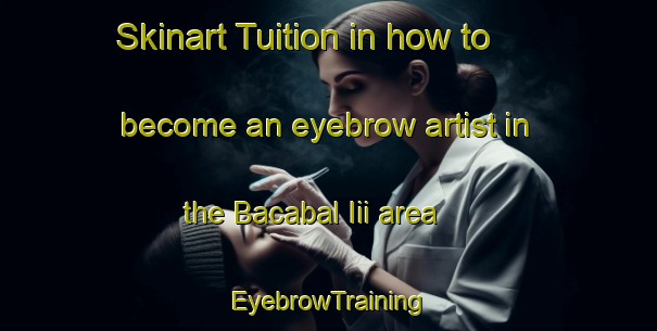 Skinart Tuition in how to become an eyebrow artist in the Bacabal Iii area | EyebrowTraining | EyebrowClasses | SkinartTraining-Brazil
