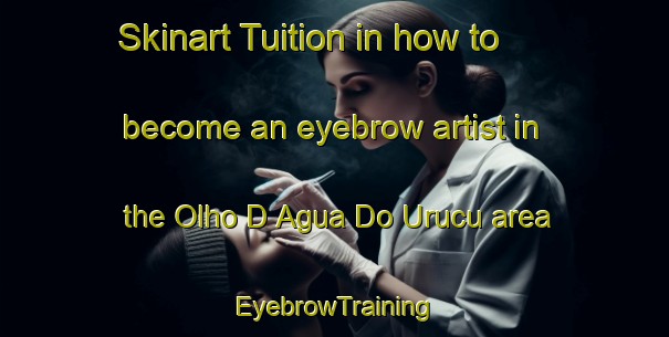 Skinart Tuition in how to become an eyebrow artist in the Olho D Agua Do Urucu area | EyebrowTraining | EyebrowClasses | SkinartTraining-Brazil