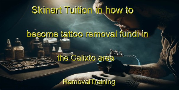Skinart Tuition in how to become tattoo removal fundi in the Calixto area | RemovalTraining | RemovalClasses | SkinartTraining-Brazil