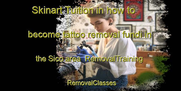 Skinart Tuition in how to become tattoo removal fundi in the Sico area | RemovalTraining | RemovalClasses | SkinartTraining-Brazil