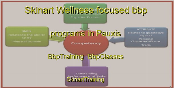 Skinart Wellness-focused bbp programs in Pauxis | BbpTraining | BbpClasses | SkinartTraining-Brazil