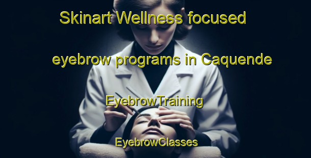Skinart Wellness-focused eyebrow programs in Caquende | EyebrowTraining | EyebrowClasses | SkinartTraining-Brazil