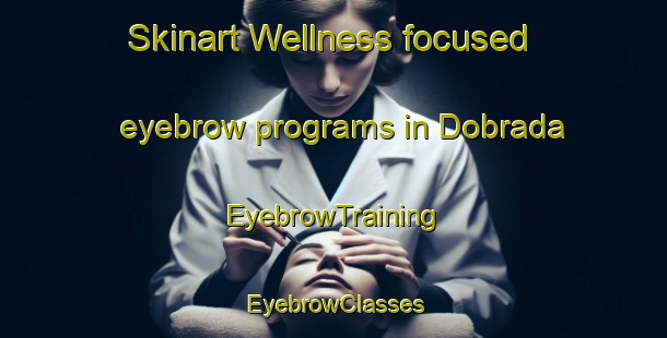 Skinart Wellness-focused eyebrow programs in Dobrada | EyebrowTraining | EyebrowClasses | SkinartTraining-Brazil