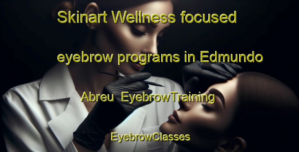Skinart Wellness-focused eyebrow programs in Edmundo Abreu | EyebrowTraining | EyebrowClasses | SkinartTraining-Brazil