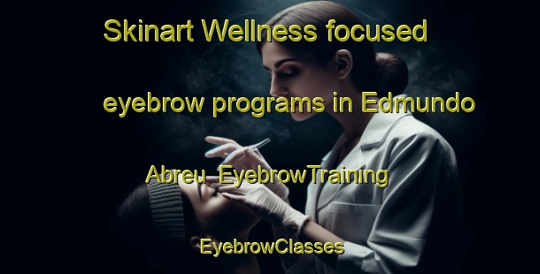 Skinart Wellness-focused eyebrow programs in Edmundo Abreu | EyebrowTraining | EyebrowClasses | SkinartTraining-Brazil