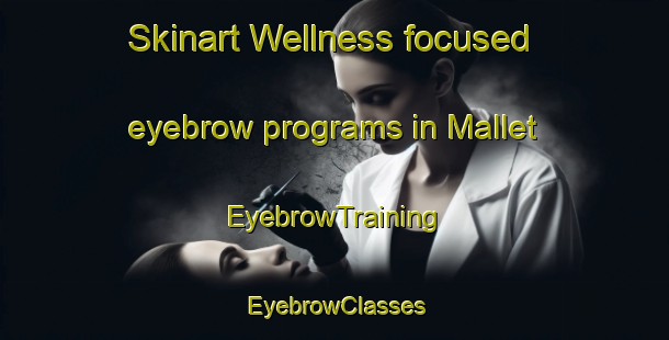 Skinart Wellness-focused eyebrow programs in Mallet | EyebrowTraining | EyebrowClasses | SkinartTraining-Brazil