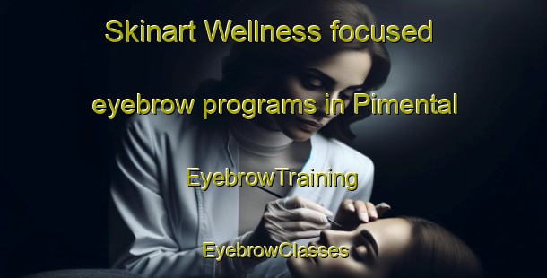 Skinart Wellness-focused eyebrow programs in Pimental | EyebrowTraining | EyebrowClasses | SkinartTraining-Brazil