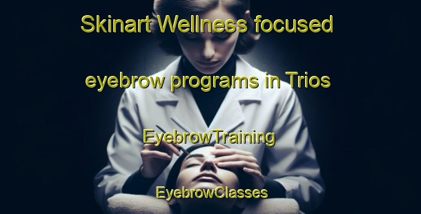 Skinart Wellness-focused eyebrow programs in Trios | EyebrowTraining | EyebrowClasses | SkinartTraining-Brazil