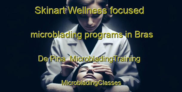 Skinart Wellness-focused microblading programs in Bras De Pina | #MicrobladingTraining #MicrobladingClasses #SkinartTraining-Brazil