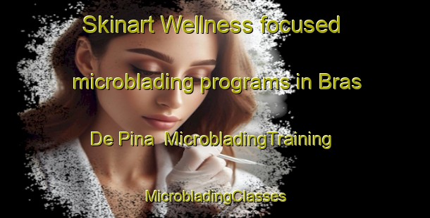 Skinart Wellness-focused microblading programs in Bras De Pina | #MicrobladingTraining #MicrobladingClasses #SkinartTraining-Brazil