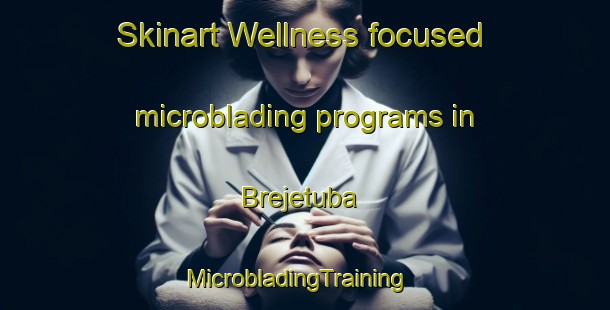 Skinart Wellness-focused microblading programs in Brejetuba | MicrobladingTraining | MicrobladingClasses | SkinartTraining-Brazil