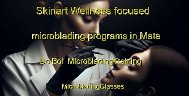 Skinart Wellness-focused microblading programs in Mata Do Boi | MicrobladingTraining | MicrobladingClasses | SkinartTraining-Brazil