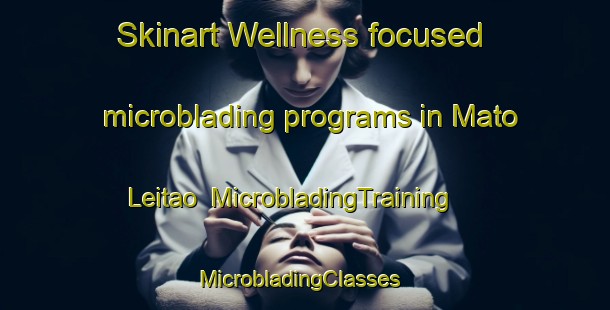 Skinart Wellness-focused microblading programs in Mato Leitao | MicrobladingTraining | MicrobladingClasses | SkinartTraining-Brazil