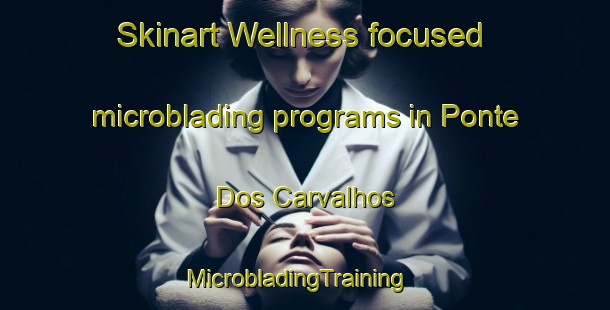 Skinart Wellness-focused microblading programs in Ponte Dos Carvalhos | MicrobladingTraining | MicrobladingClasses | SkinartTraining-Brazil