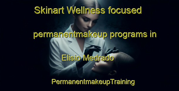 Skinart Wellness-focused permanentmakeup programs in Elisio Medrado | #PermanentmakeupTraining #PermanentmakeupClasses #SkinartTraining-Brazil