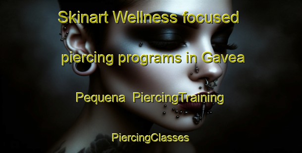 Skinart Wellness-focused piercing programs in Gavea Pequena | #PiercingTraining #PiercingClasses #SkinartTraining-Brazil