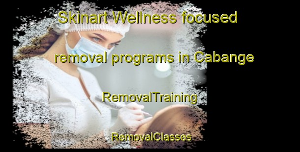 Skinart Wellness-focused removal programs in Cabange | RemovalTraining | RemovalClasses | SkinartTraining-Brazil