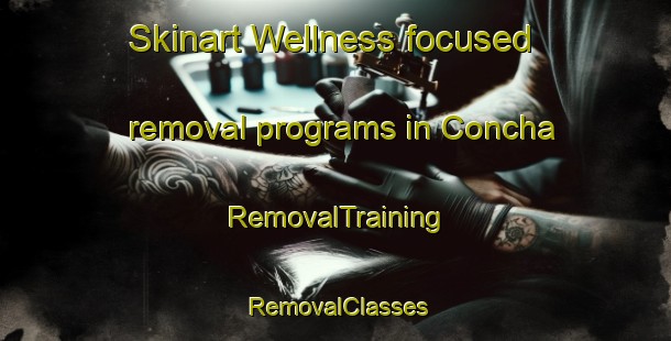 Skinart Wellness-focused removal programs in Concha | RemovalTraining | RemovalClasses | SkinartTraining-Brazil