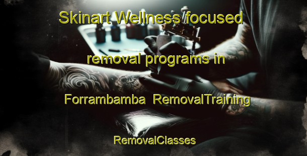 Skinart Wellness-focused removal programs in Forrambamba | RemovalTraining | RemovalClasses | SkinartTraining-Brazil