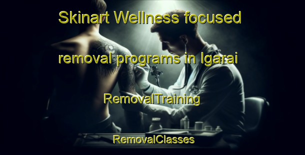 Skinart Wellness-focused removal programs in Igarai | RemovalTraining | RemovalClasses | SkinartTraining-Brazil
