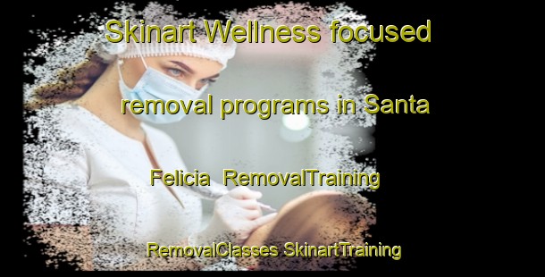 Skinart Wellness-focused removal programs in Santa Felicia | #RemovalTraining #RemovalClasses #SkinartTraining-Brazil