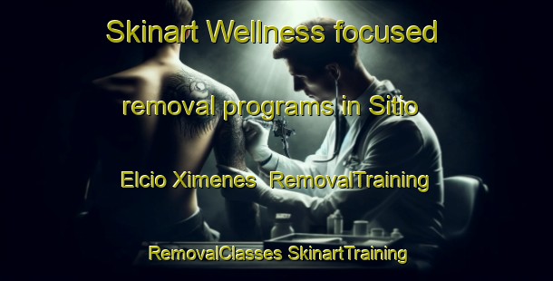 Skinart Wellness-focused removal programs in Sitio Elcio Ximenes | #RemovalTraining #RemovalClasses #SkinartTraining-Brazil