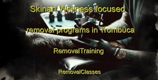 Skinart Wellness-focused removal programs in Trombuca | RemovalTraining | RemovalClasses | SkinartTraining-Brazil