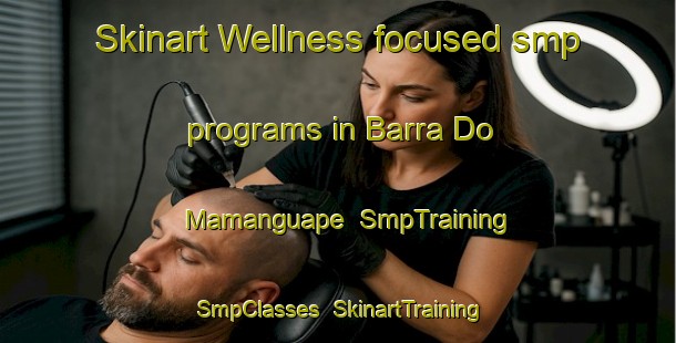 Skinart Wellness-focused smp programs in Barra Do Mamanguape | SmpTraining | SmpClasses | SkinartTraining-Brazil