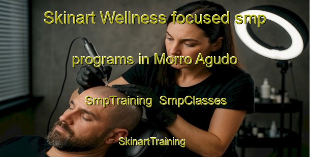 Skinart Wellness-focused smp programs in Morro Agudo | SmpTraining | SmpClasses | SkinartTraining-Brazil