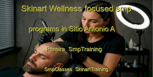 Skinart Wellness-focused smp programs in Sitio Antonio A  Pereira | SmpTraining | SmpClasses | SkinartTraining-Brazil