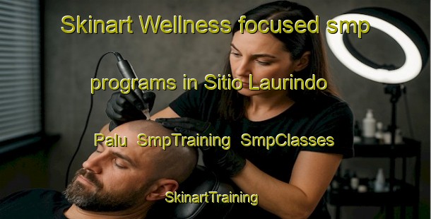 Skinart Wellness-focused smp programs in Sitio Laurindo Palu | SmpTraining | SmpClasses | SkinartTraining-Brazil