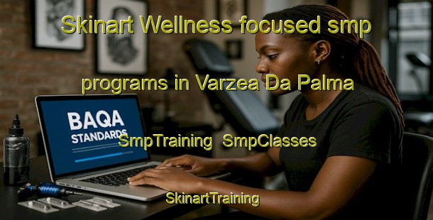 Skinart Wellness-focused smp programs in Varzea Da Palma | SmpTraining | SmpClasses | SkinartTraining-Brazil