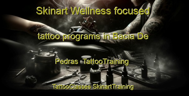 Skinart Wellness-focused tattoo programs in Bacia De Pedras | #TattooTraining #TattooClasses #SkinartTraining-Brazil