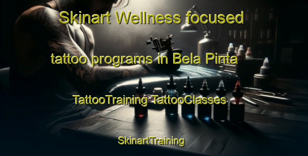 Skinart Wellness-focused tattoo programs in Bela Pinta | #TattooTraining #TattooClasses #SkinartTraining-Brazil