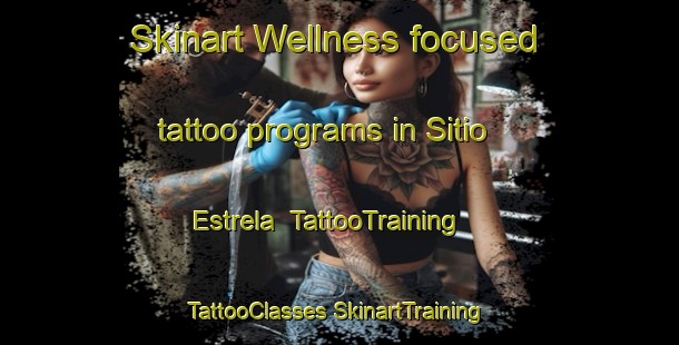 Skinart Wellness-focused tattoo programs in Sitio Estrela | #TattooTraining #TattooClasses #SkinartTraining-Brazil