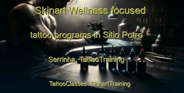 Skinart Wellness-focused tattoo programs in Sitio Potro Serrinha | TattooTraining | TattooClasses | SkinartTraining-Brazil